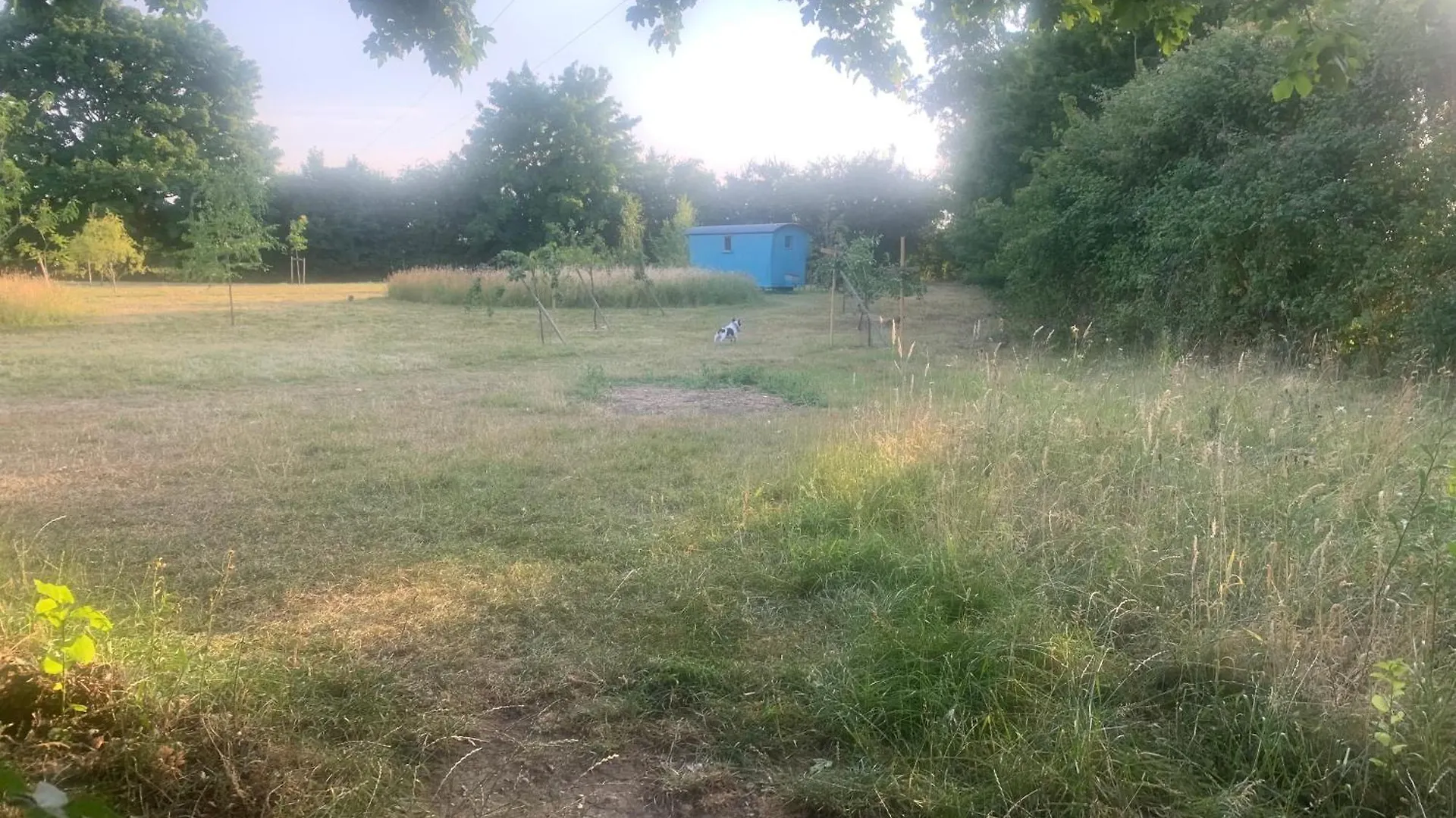 Woodpecker Shepherd Hut With Private Facilities Newmarket Cb8 Cambridge